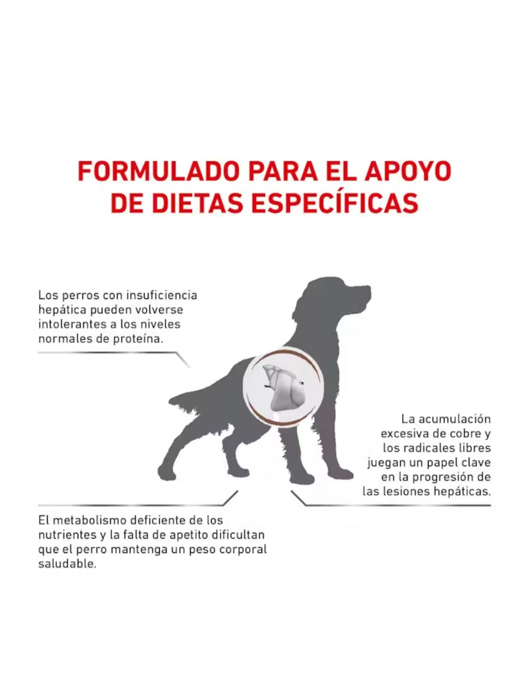 Royal Canin Hepatic para Perro