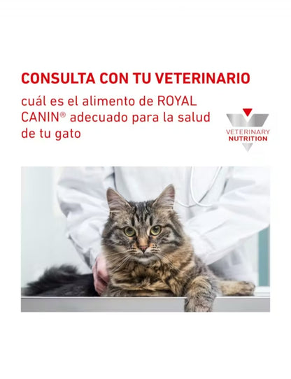 Royal Canin Hydrolyzed Protein Gato