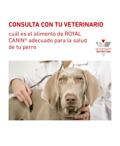 Royal Canin Hydrolyzed Protein Moderate Calorie
