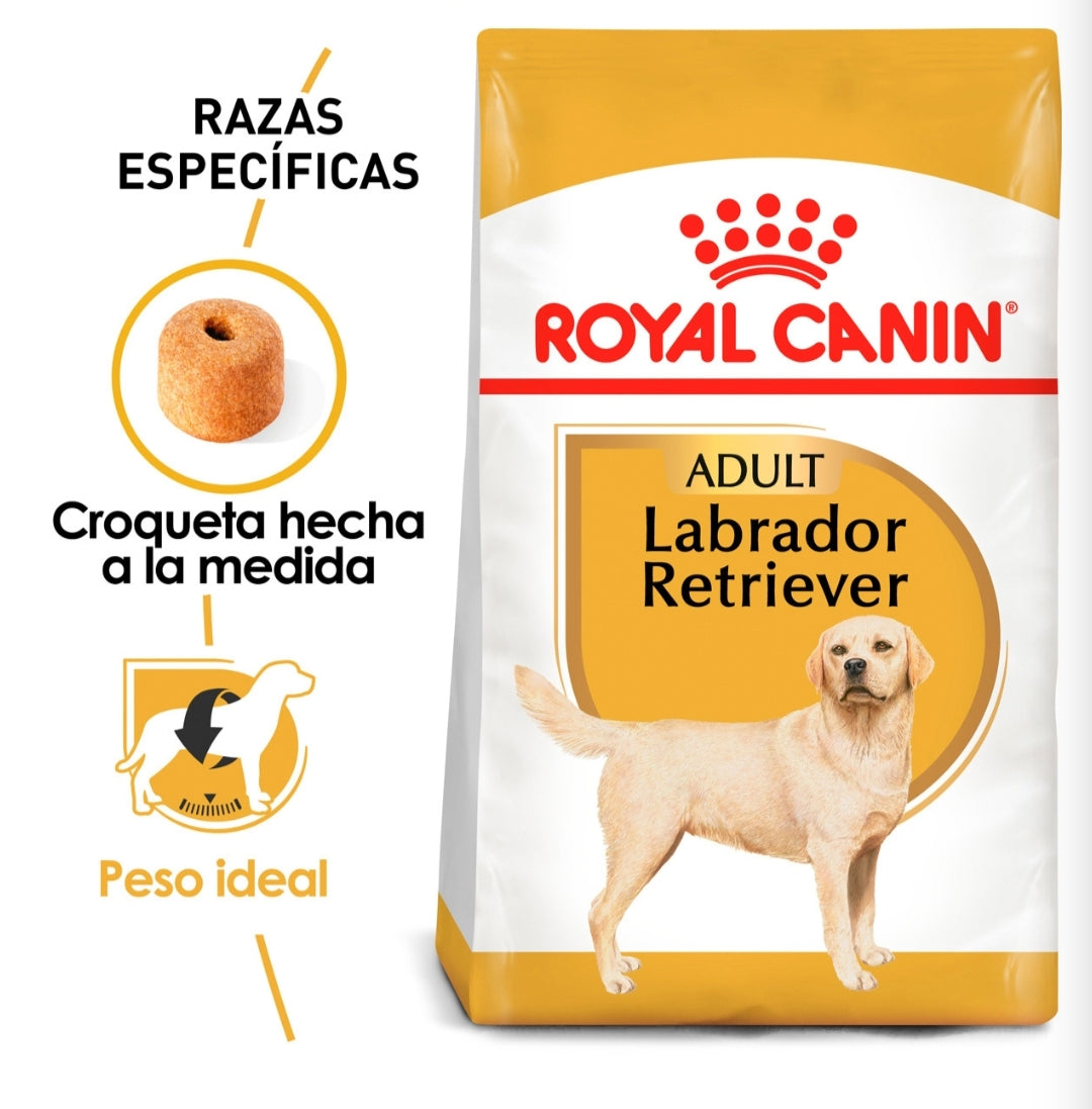 Royal Canin Labrador Adulto