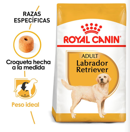 Royal Canin Labrador Adulto