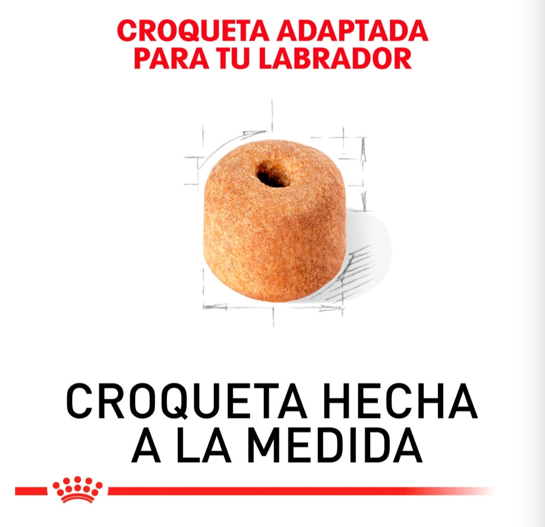 Royal Canin Labrador Adulto