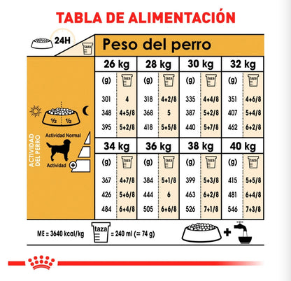 Royal Canin Labrador Adulto