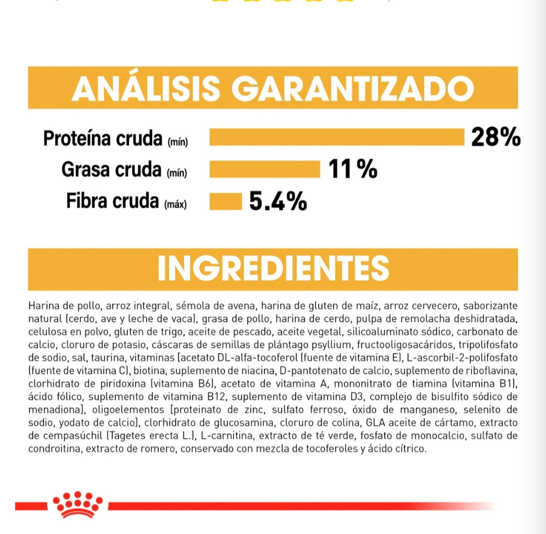 Royal Canin Labrador Adulto