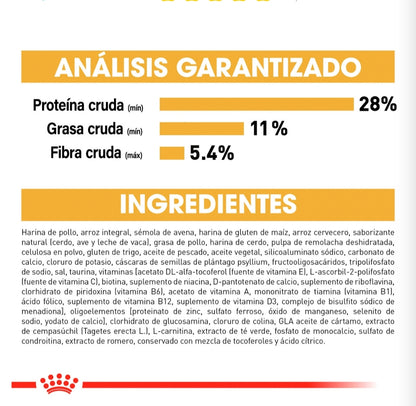 Royal Canin Labrador Adulto