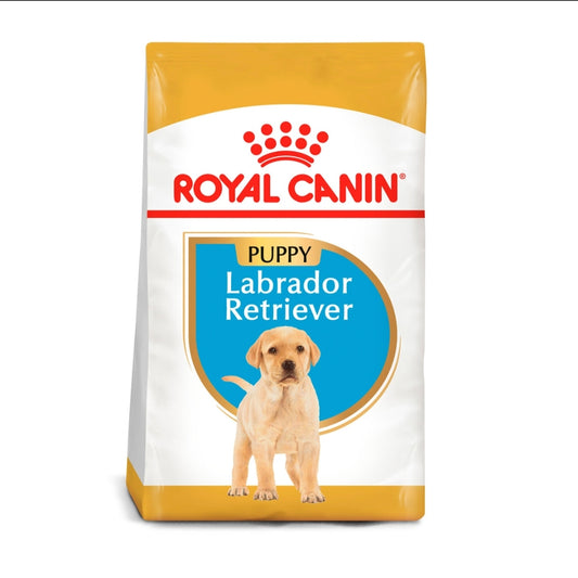 Royal Canin Labrador Puppy