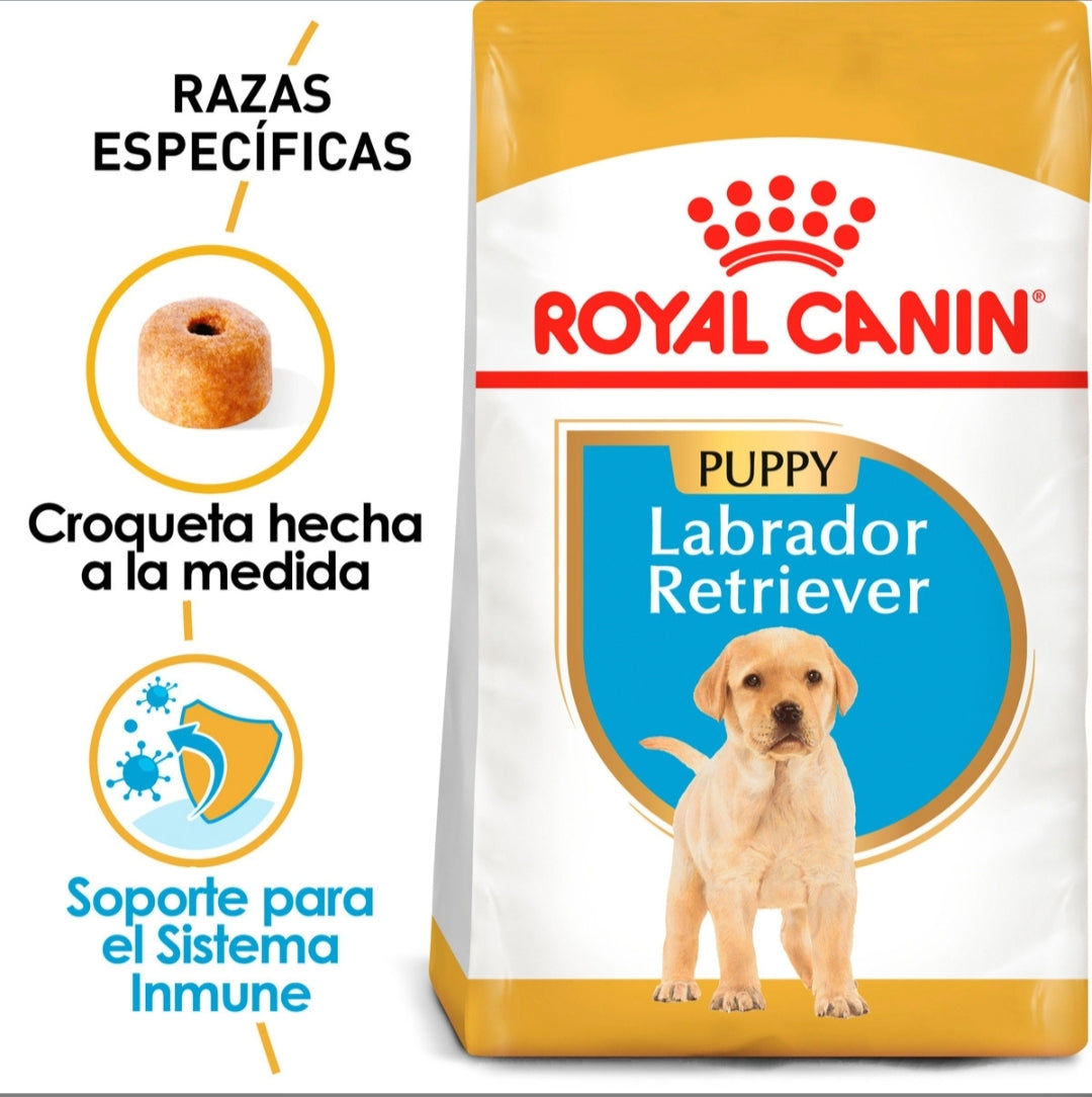 Royal Canin Labrador Puppy