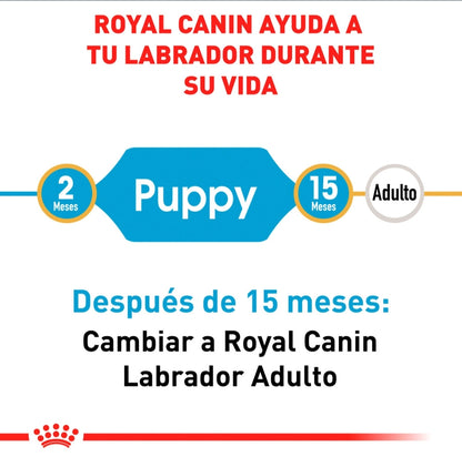 Royal Canin Labrador Puppy