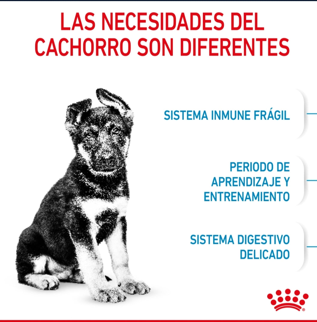 Royal Canin Cachorro Raza Grande