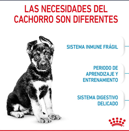 Royal Canin Cachorro Raza Grande