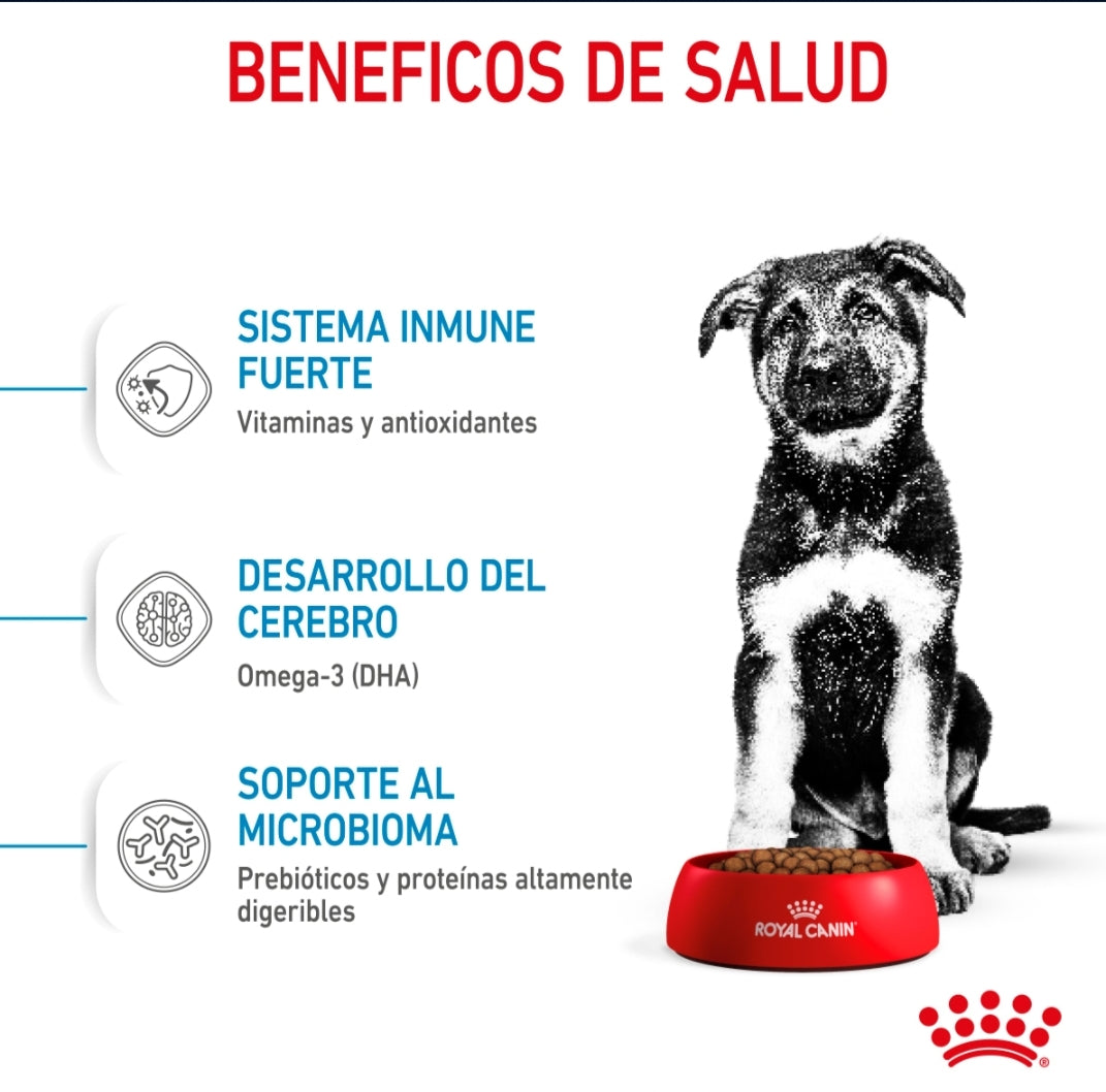 Royal Canin Cachorro Raza Grande
