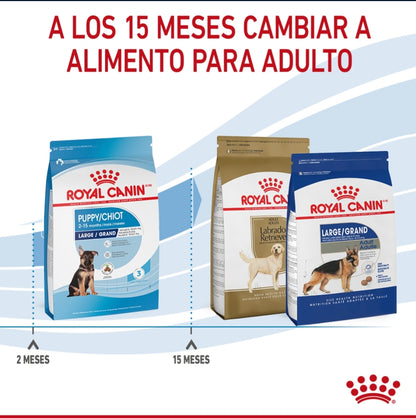 Royal Canin Cachorro Raza Grande