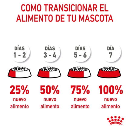 Royal Canin Cachorro Raza Grande