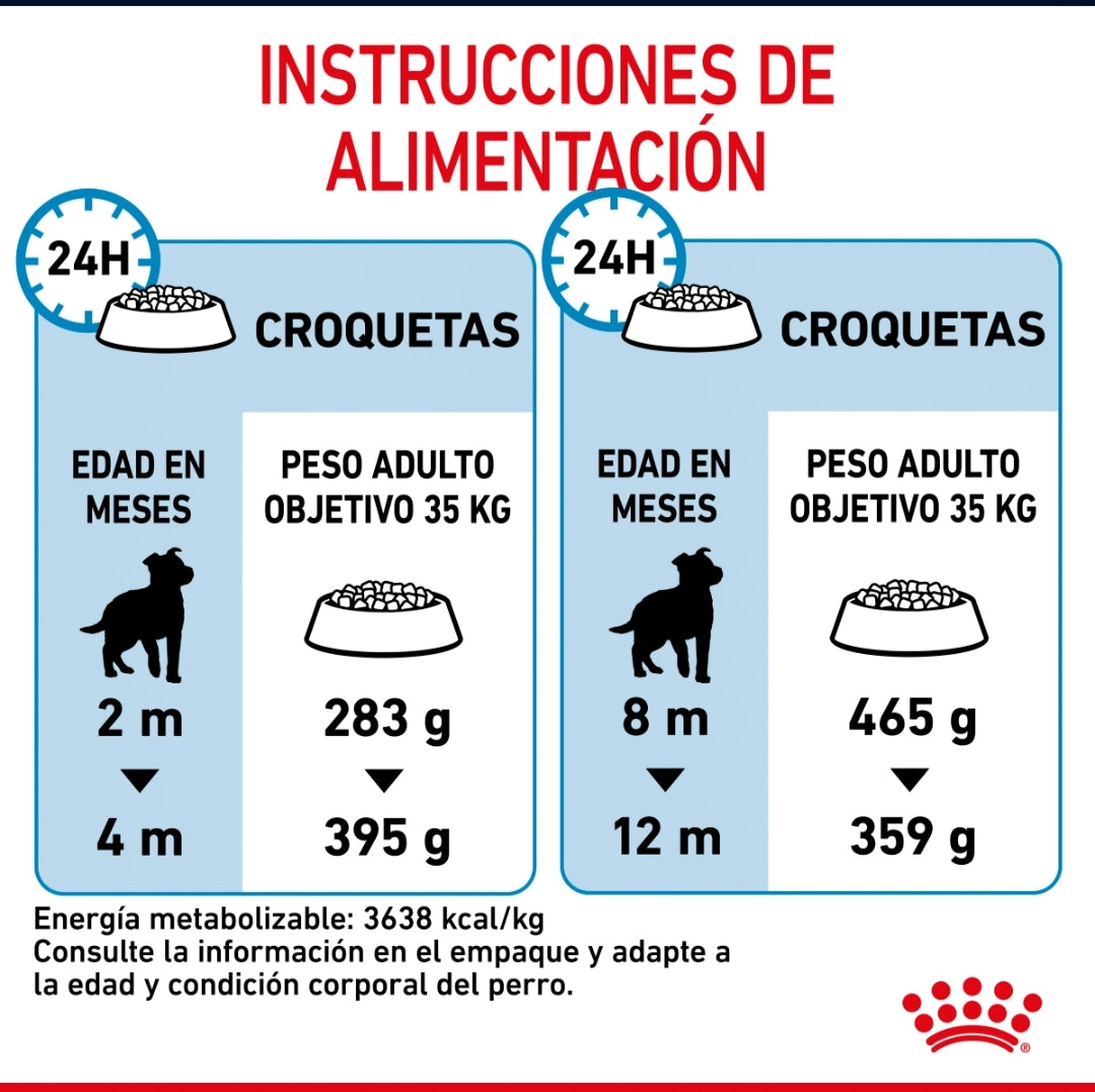 Royal Canin Cachorro Raza Grande