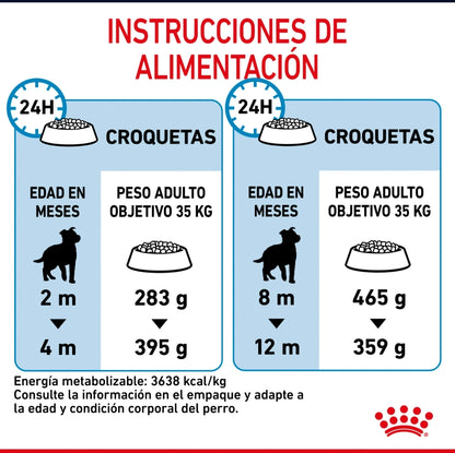Royal Canin Cachorro Raza Grande