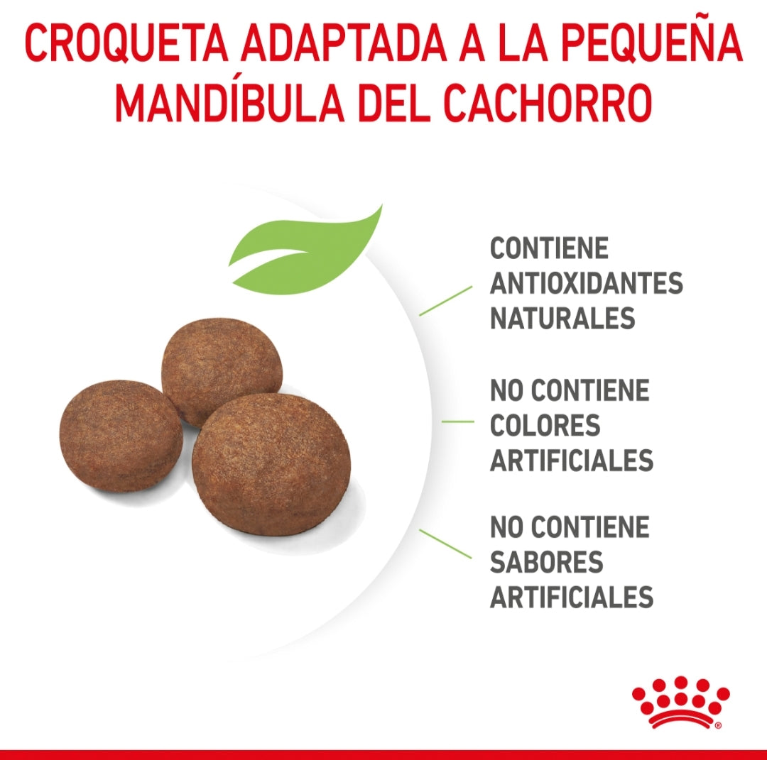 Royal Canin Cachorro Raza Grande
