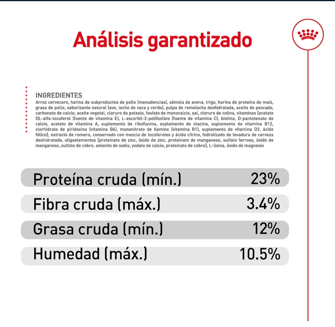 Royal Canin Medium Adult