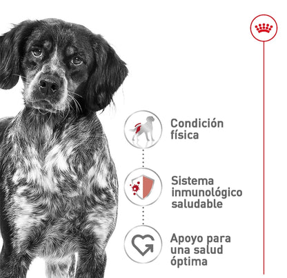 Royal Canin Medium Adult