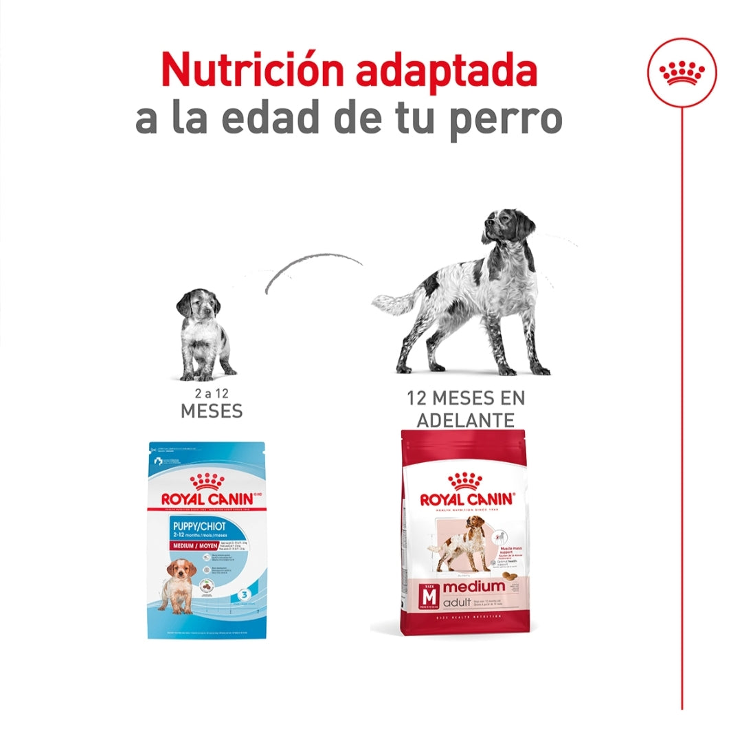 Royal Canin Medium Adult