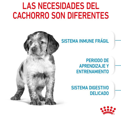 Royal Canin Medium Puppy