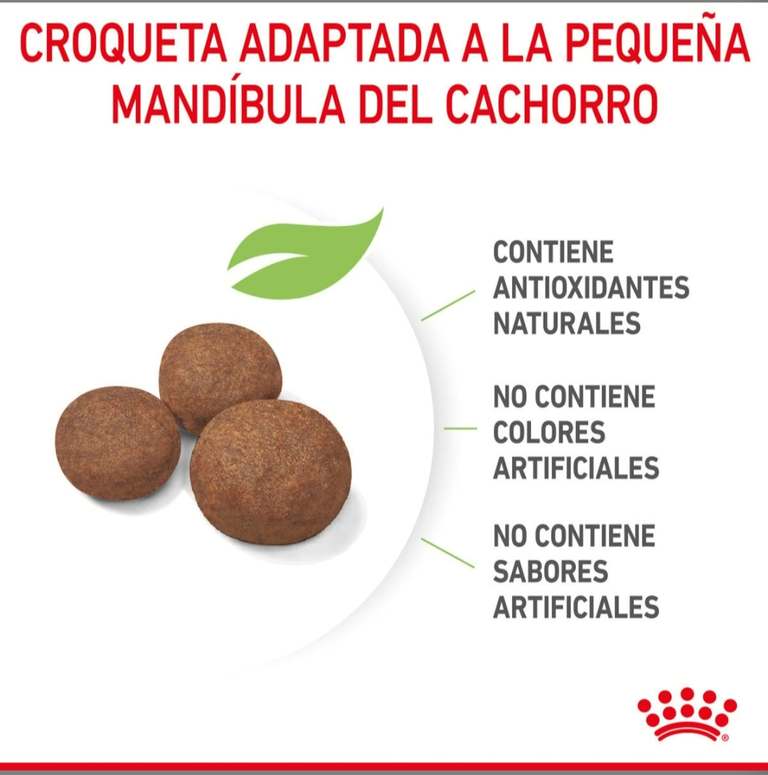 Royal Canin Medium Puppy