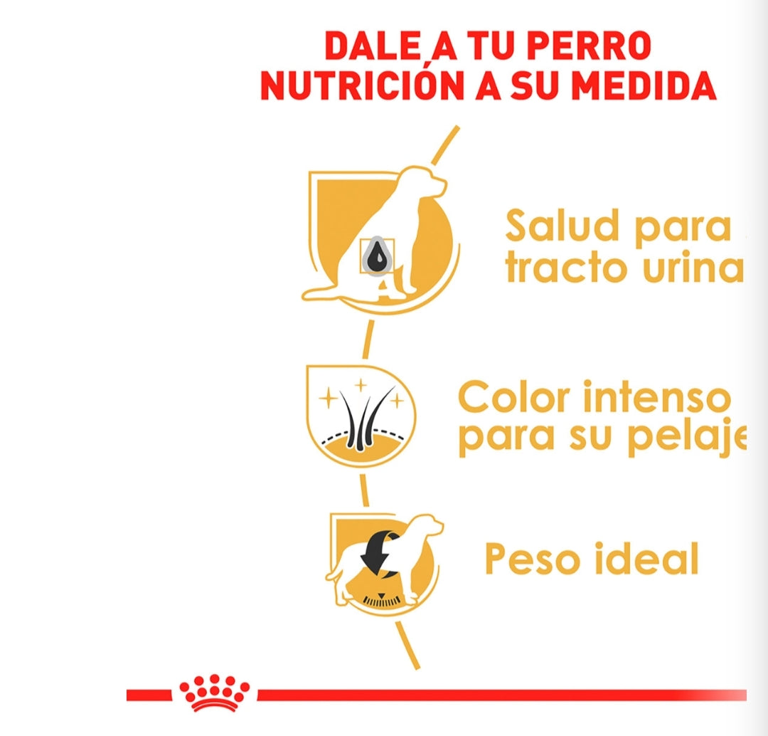 Royal Canin Schnauzer