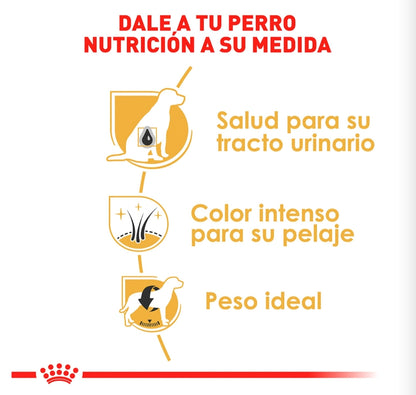 Royal Canin Schnauzer