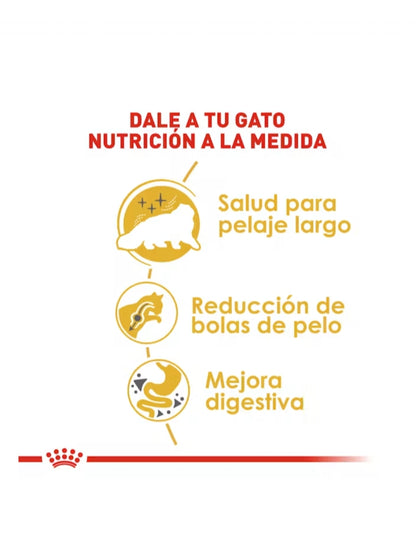 Royal Canin Gato Persa Adulto