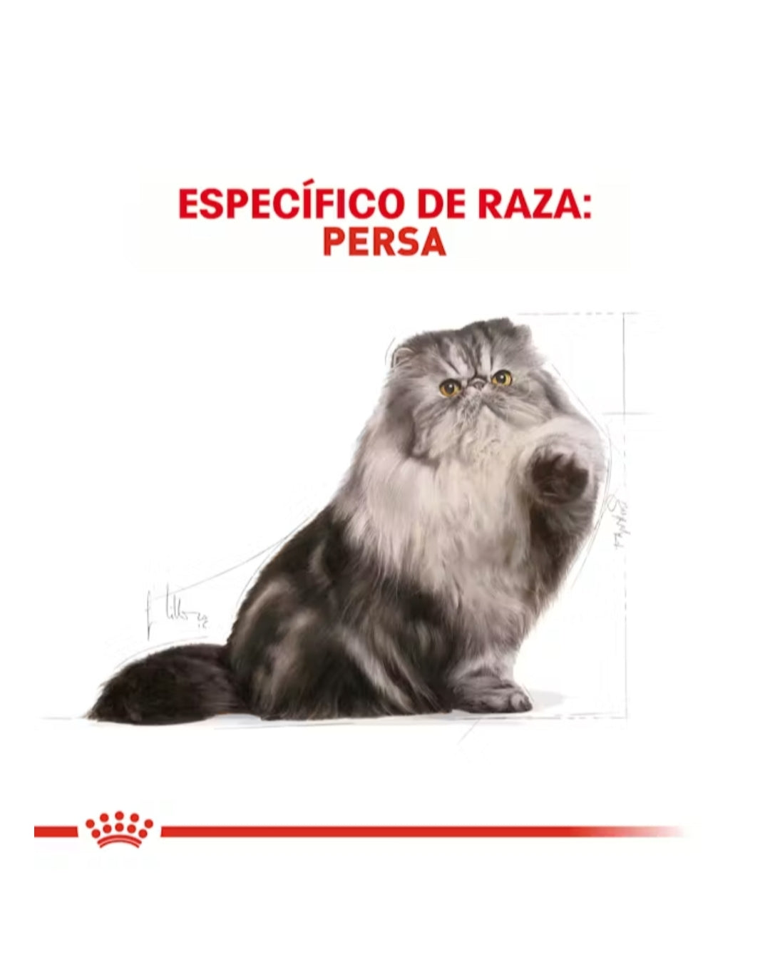 Royal Canin Gato Persa Adulto