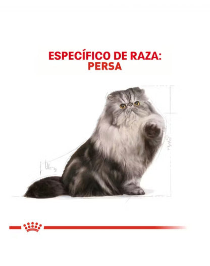 Royal Canin Gato Persa Adulto
