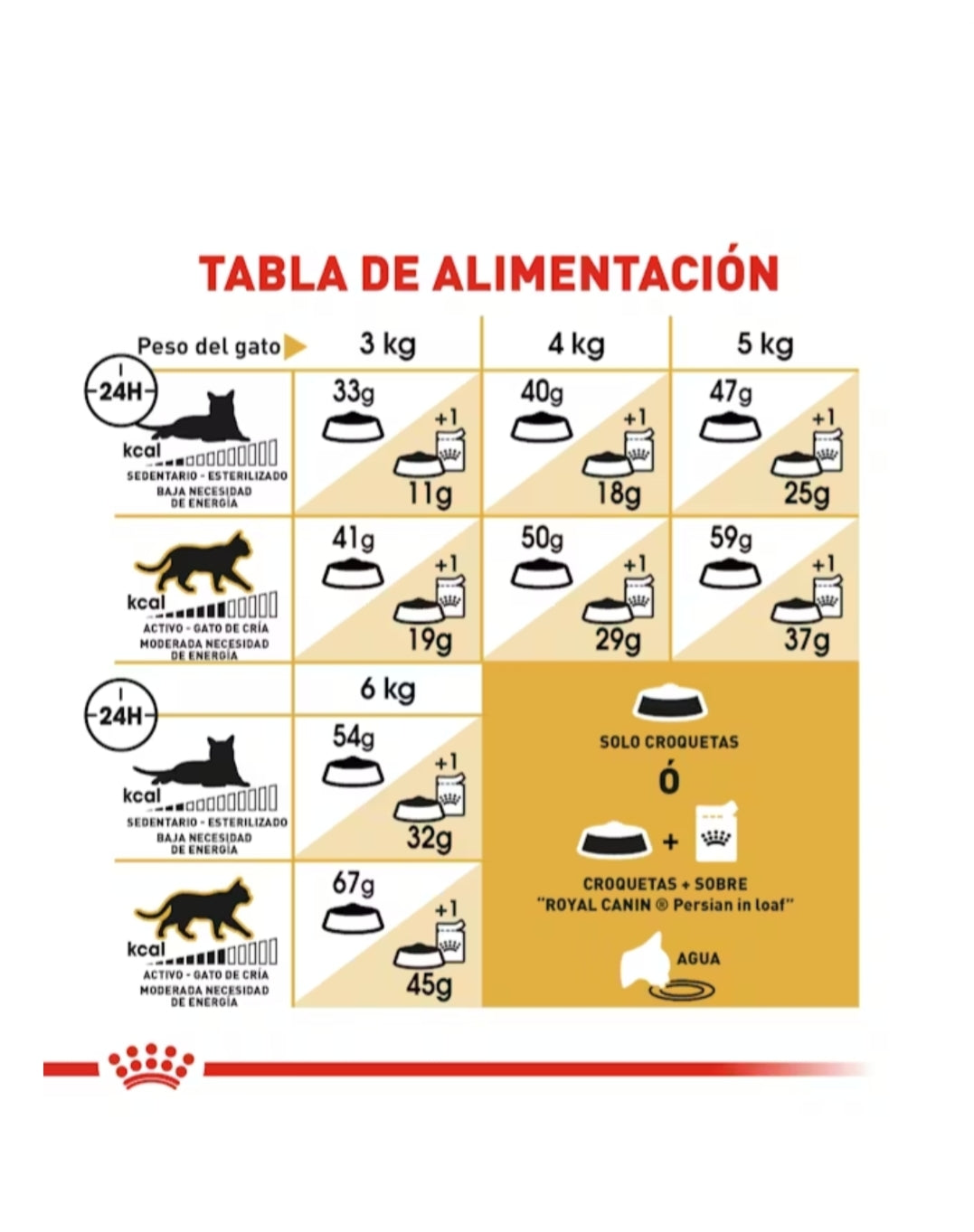Royal Canin Gato Persa Adulto