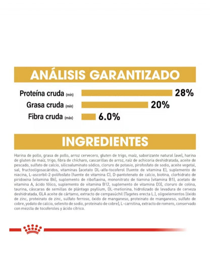 Royal Canin Gato Persa Adulto