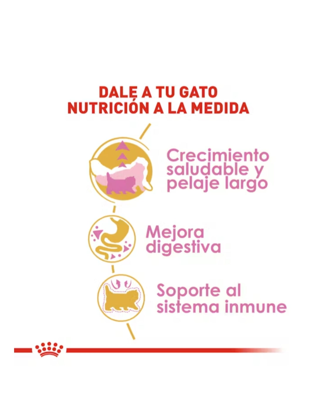 Royal Canin Persa Kitten