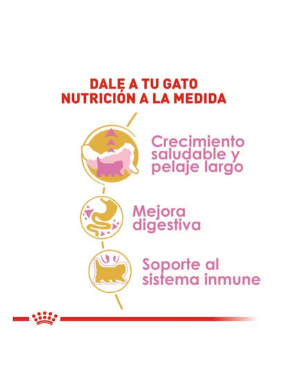 Royal Canin Persa Kitten