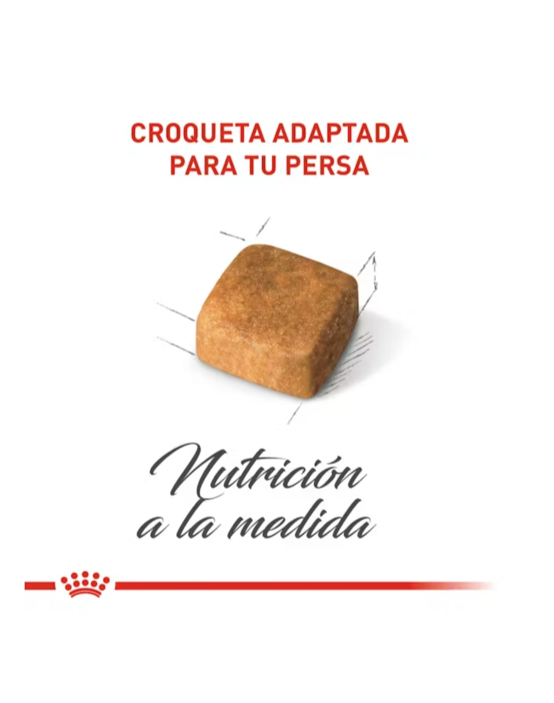 Royal Canin Persa Kitten