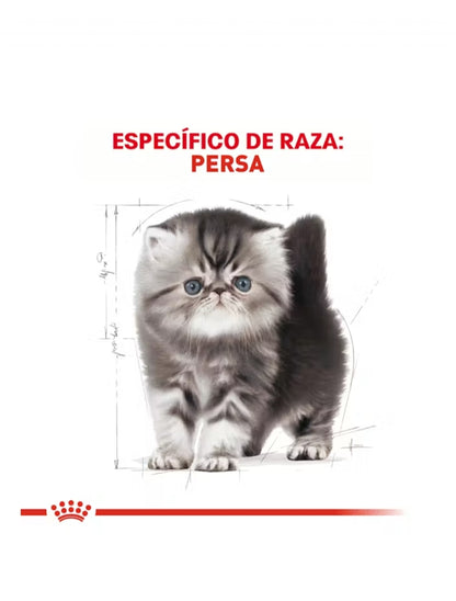Royal Canin Persa Kitten