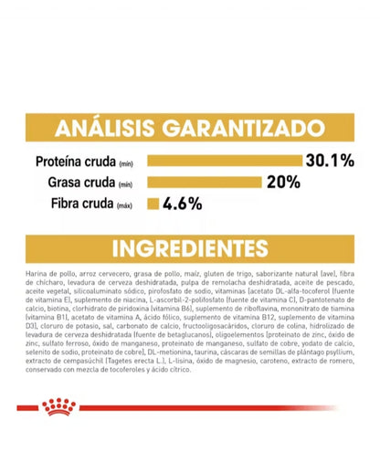 Royal Canin Persa Kitten
