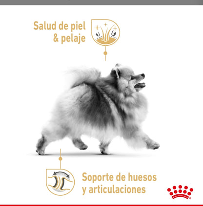 Royal Canin Pomerania Adulto