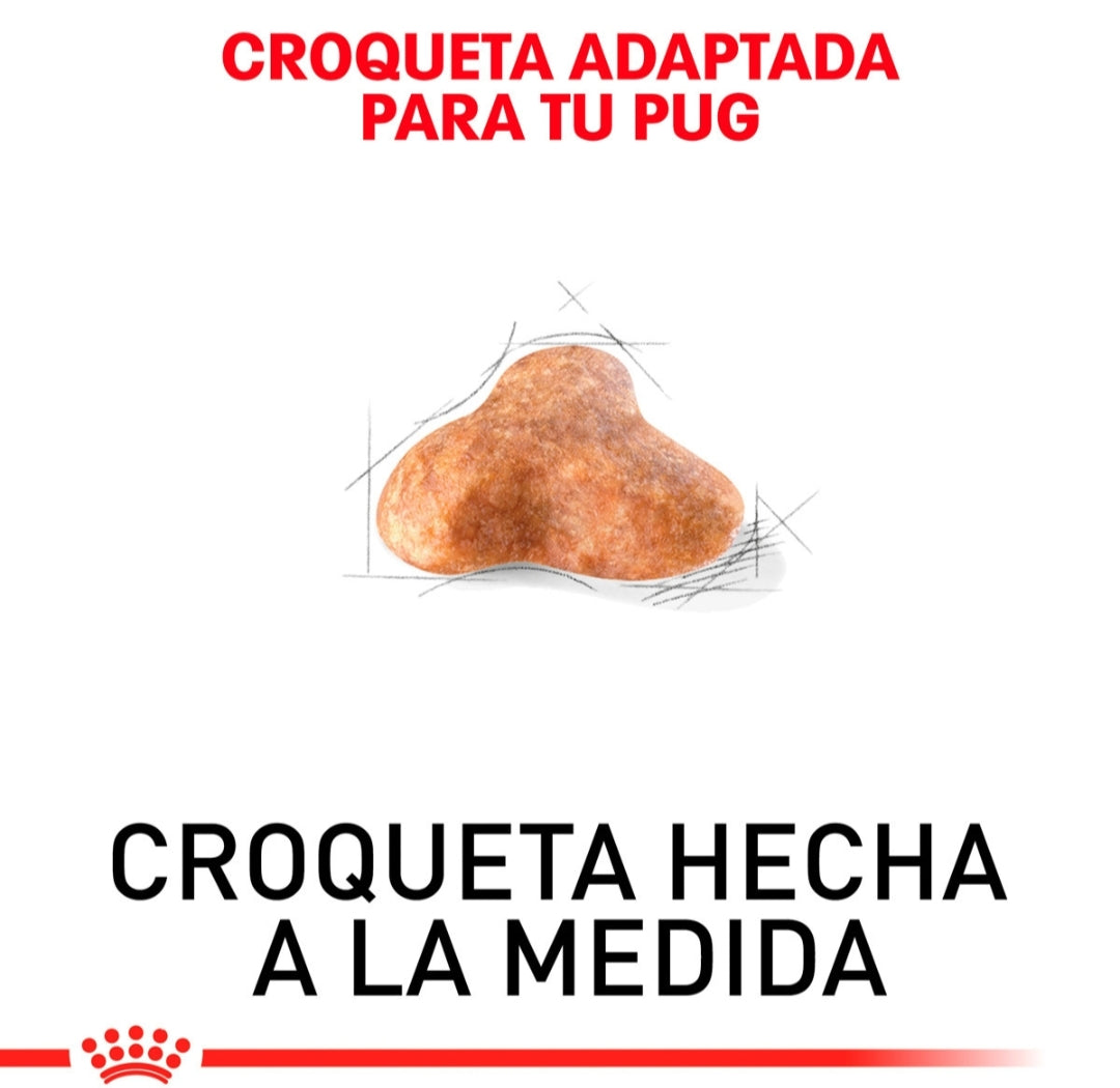 Royal Canin Pug Adulto