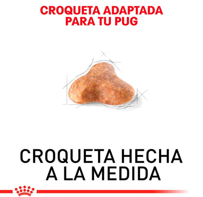 Royal Canin Pug Adulto