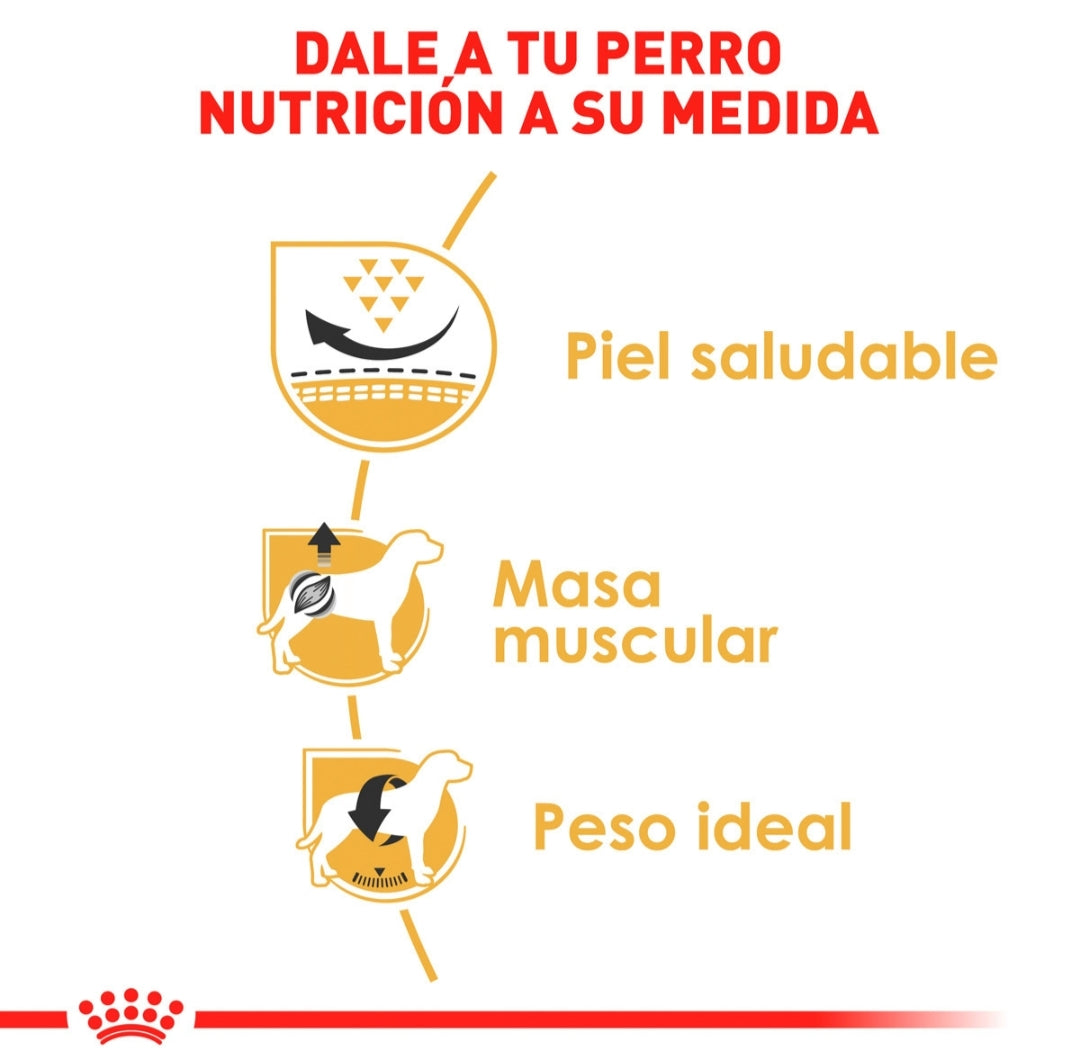 Royal Canin Pug Adulto