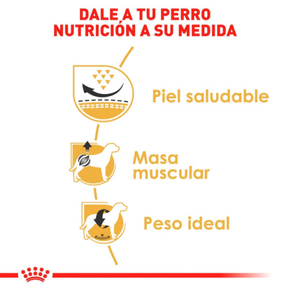 Royal Canin Pug Adulto