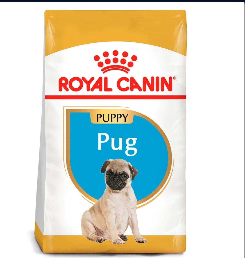 Royal Canin Pug Cachorro