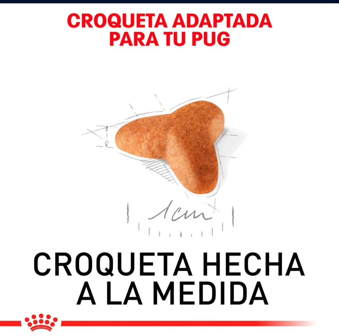 Royal Canin Pug Cachorro