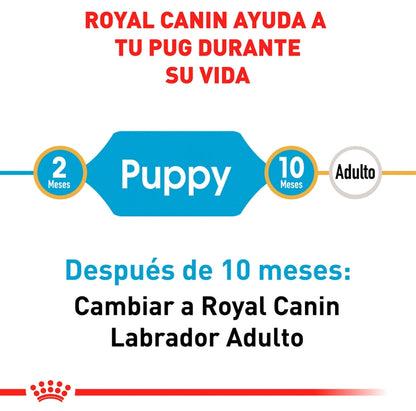 Royal Canin Pug Cachorro