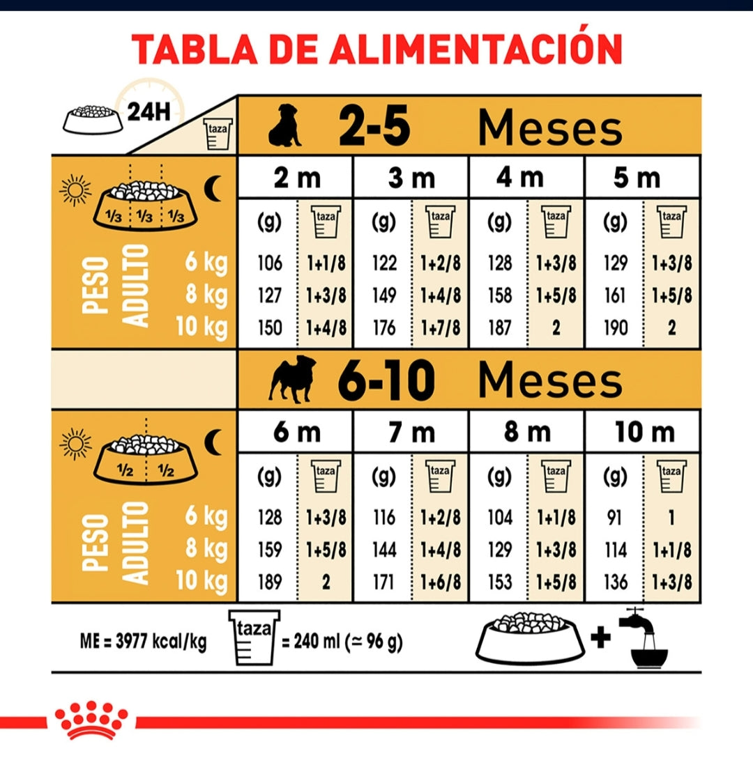 Royal Canin Pug Cachorro