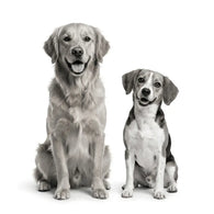 Royal Canin Satiety Support Perro