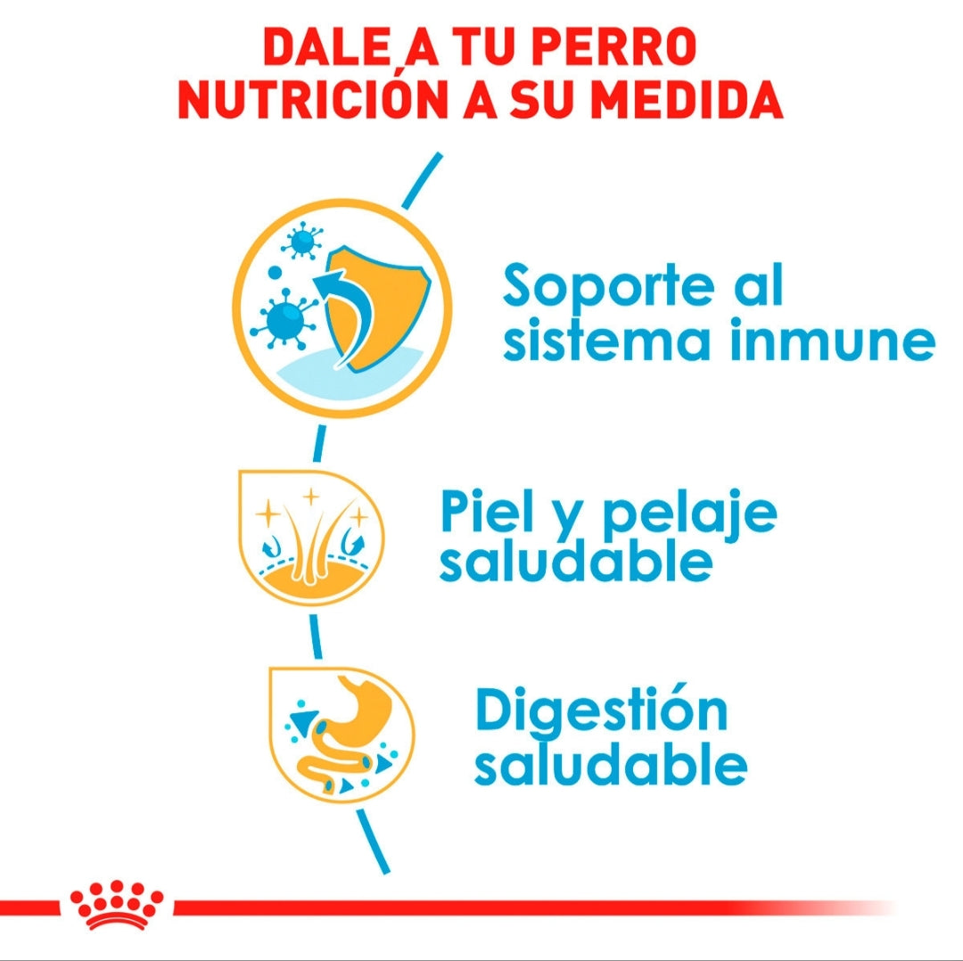 Royal Canin Shih Tzu Cachorro
