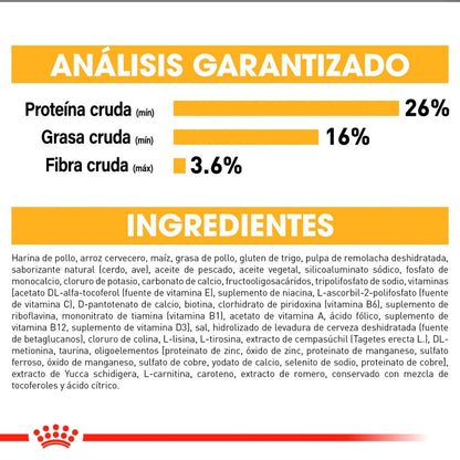 Royal Canin Shih Tzu Cachorro