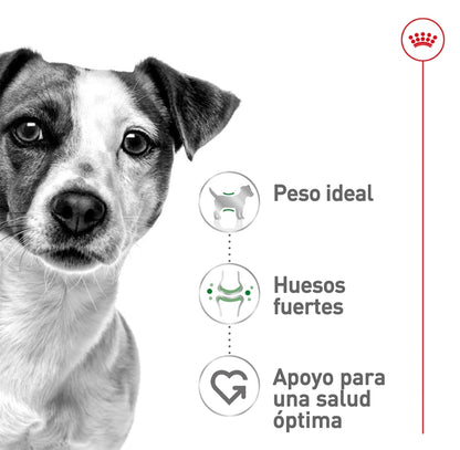 Royal Canin Perro Adulto Raza Pequeña